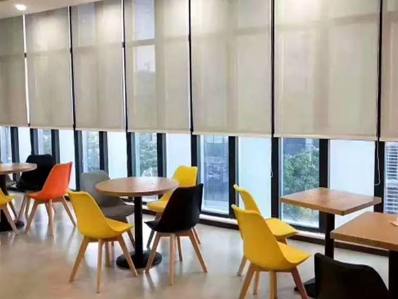 Sunscreen Interior Fabric